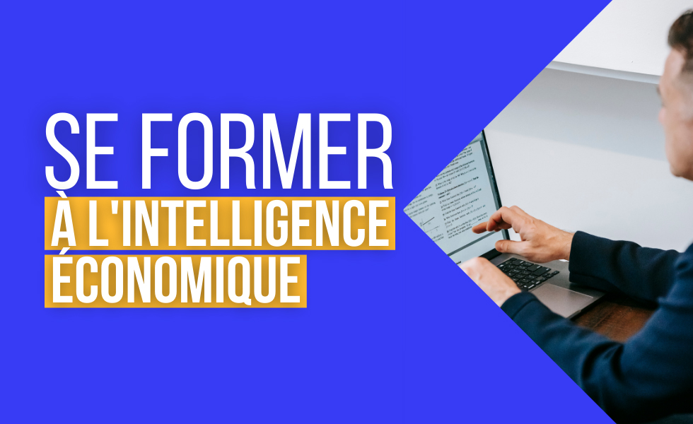 Formation intelligence économique