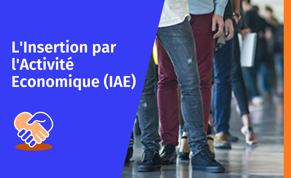 Insertion par l'Activité Economique (IAE) Insertion par l'Activité Economique (IAE)