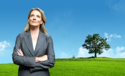 Environnement Environnement